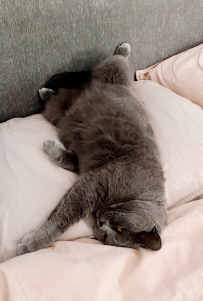 Thread 10 - TalkLair: “The candle flame gutters. Its little pool of light trembles.”