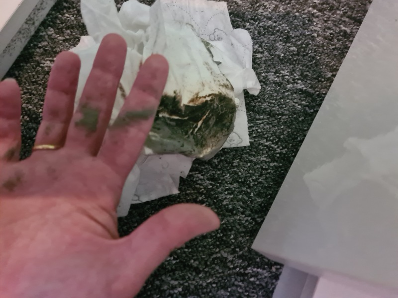 Mould should housing pay for beds