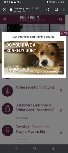 Dogs behaving badly?