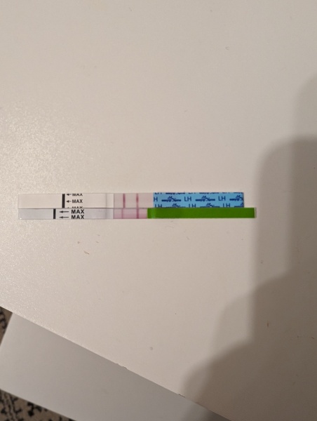 Cd1 of ttc first cycle after loss... anyone want to join me? 🙂