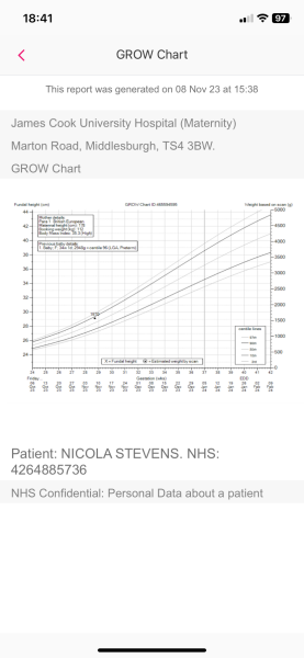 'Pregnancy after Miscarriage - Latest support thread'