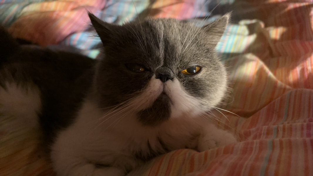 Potential new inmate at Toddler Towers.