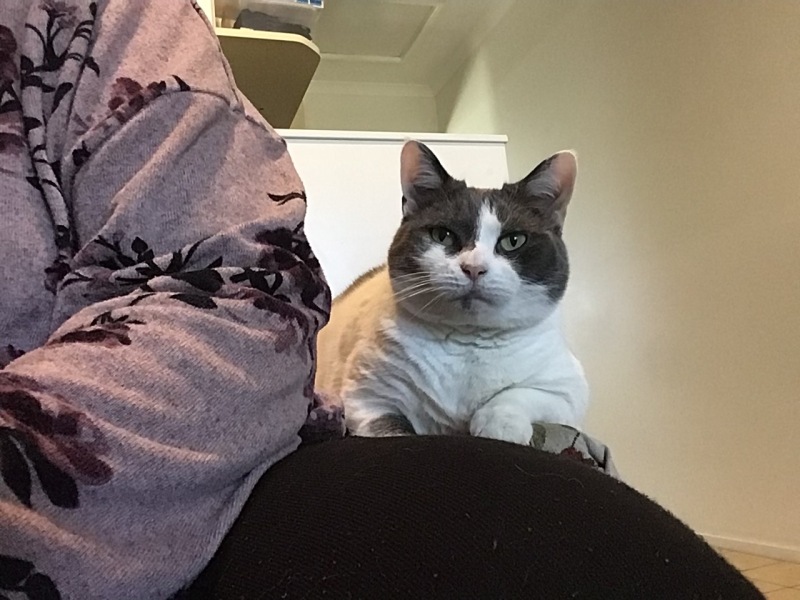 Let's see your best "Loaf of Doom" pics!