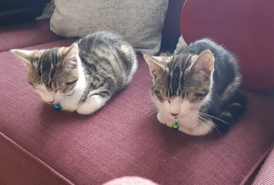 Let's see your best "Loaf of Doom" pics!
