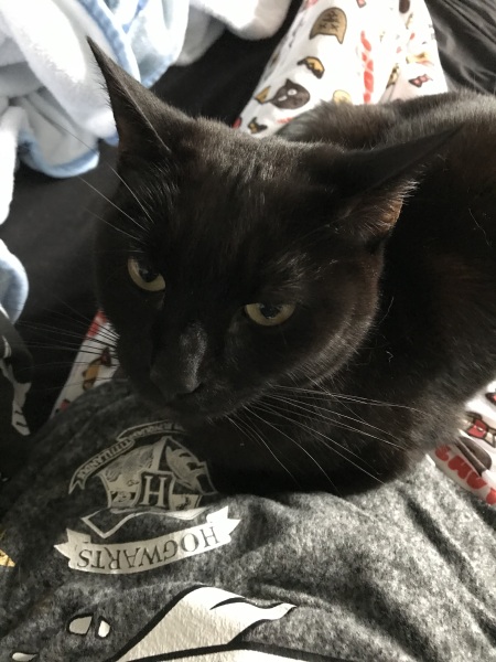 Let's see your best "Loaf of Doom" pics!