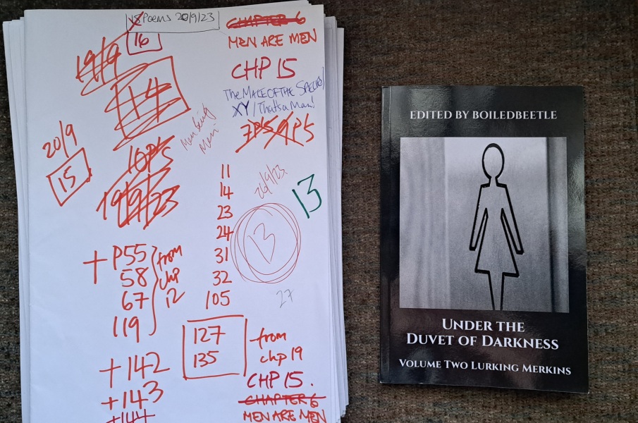 Lurking Merkins - Volume Two of Under the Duvet of Darkness