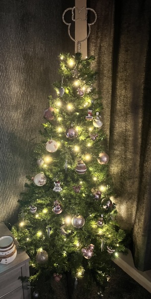 The ultimate SHOW US YOUR TREE megathread!