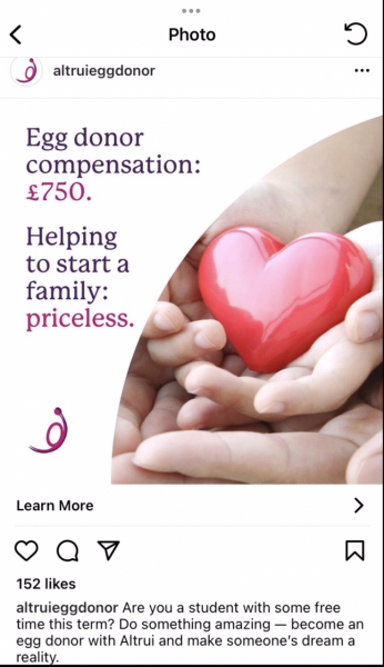 Egg Donation - Preferences