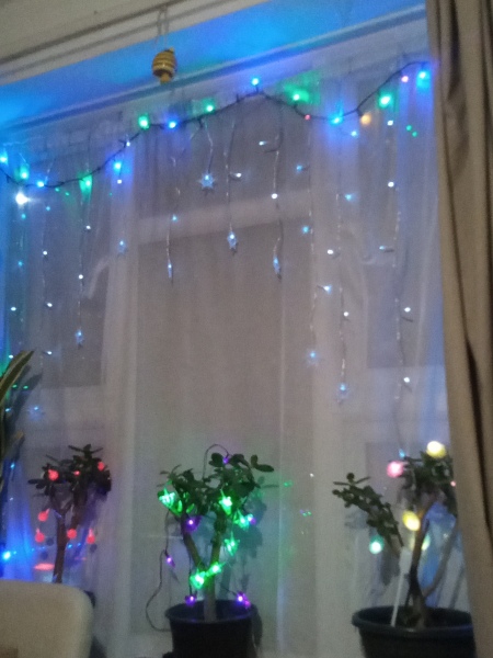 Is it too early? (Christmas Tree)
