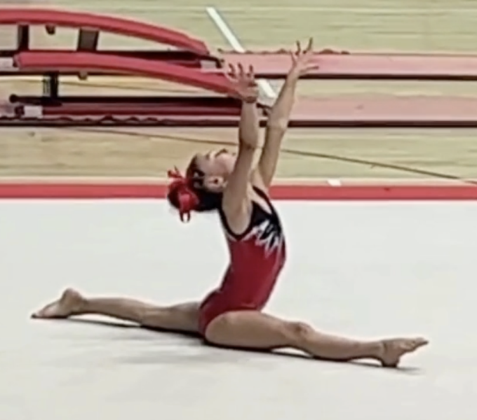 schools with gymnastics programs