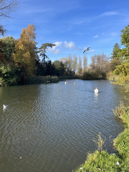 Current Oxford/Cambridge students support/chat continued (2)