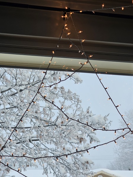 Clearing the cobwebs to make everything sparkle - Flylady style
