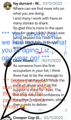 Is Liz Fraser helping all women or just herself?