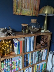 Do you have a bookshelf with books on?!