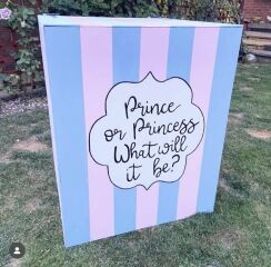 Are ‘baby on board’ car signs no longer a thing?