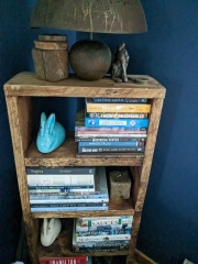Do you have a bookshelf with books on?!