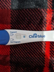 Clear blue test. Evap line or positive