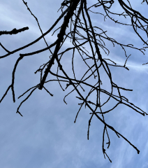 Come and tell me your dull and unexciting news 27: Calmly through the day