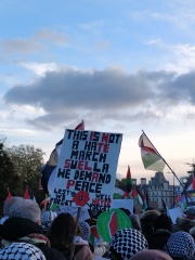 Placards from antisemitic marches in London