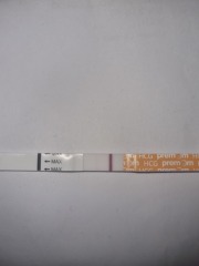 9dpo, I am Imagining a second line?