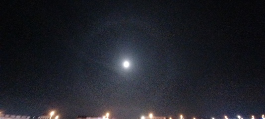 The Moon just now (pic)