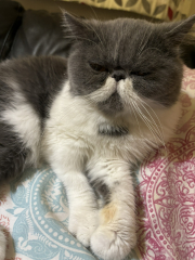 Potential new inmate at Toddler Towers.