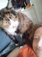 Post your cute kitties 😸
