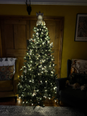 Iv gone and put my tree up