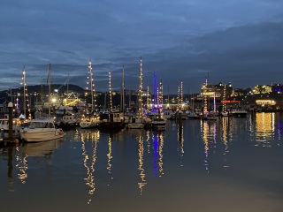 Nigel Slater Christmas Chronicles Read Along 2023 - Part Two