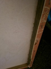 Mould should housing pay for beds