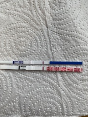 A line eye enthusiast #2