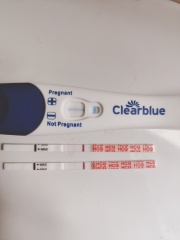 Pregnancy test