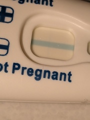 Clear blue test. Evap line or positive