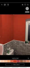 What colour for bathroom? Pics included