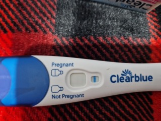 Clear blue test. Evap line or positive