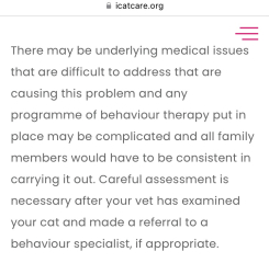 My poorly cat hates me, help!