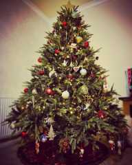 The ultimate SHOW US YOUR TREE megathread!