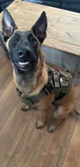 Seeking Advice - separation anxiety with rescue dog