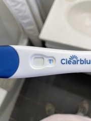 Clear blue test. Evap line or positive