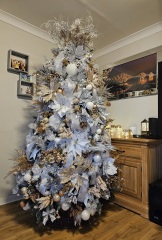 The ultimate SHOW US YOUR TREE megathread!