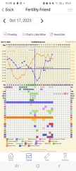 Second ovulation / AF coming / or possible BFP?