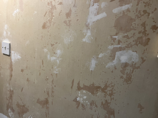 Painting plaster walls?