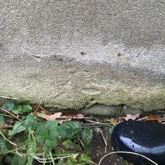 Where to start with damp and mould