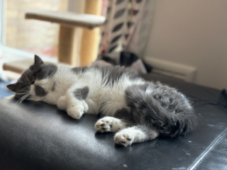 Potential new inmate at Toddler Towers.