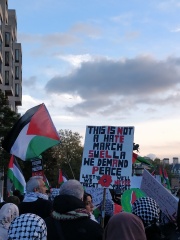 The cenotaph and poppy sellers