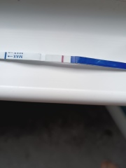 The F*** am I pregnant or not? Help
