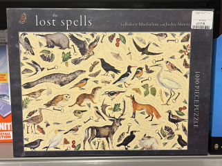 Thread 14 - the one where we track our Fahlo turtles while snuggling under our heated blankets