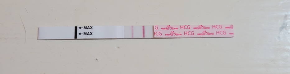 Pregnancy test. Faint in mornings dark at night?