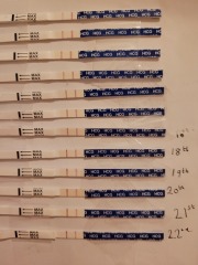 Blighted ovum symptoms?