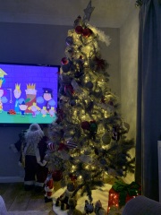 The ultimate SHOW US YOUR TREE megathread!